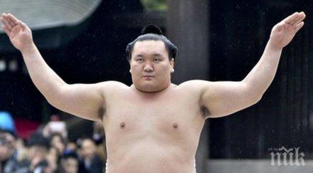 великият шампион сумото хакухо коронавирус