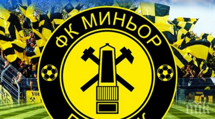 миньор перник