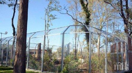 зоопаркът пловдив влиза съдебна битка 800 000 лева