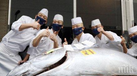 продадоха риба тон 202 000 долара япония