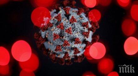сзо заразените коронавируса света вече близо млн души