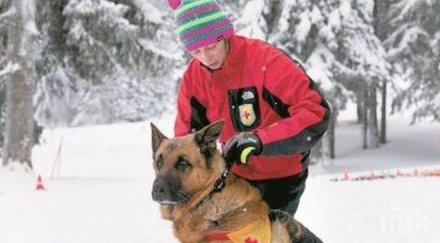 турист пострада близнаците рила