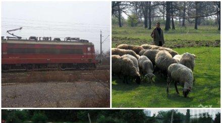 сигнал пик влакове газят овце хулигани играят огъня барикадират камъни бетонни колове линия пловдив