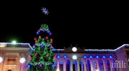 шише водка мъж покатери новогодишна елха случи видео