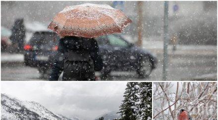 прибирайте чадърите седмицата започва мъгли облаци дъжд карта