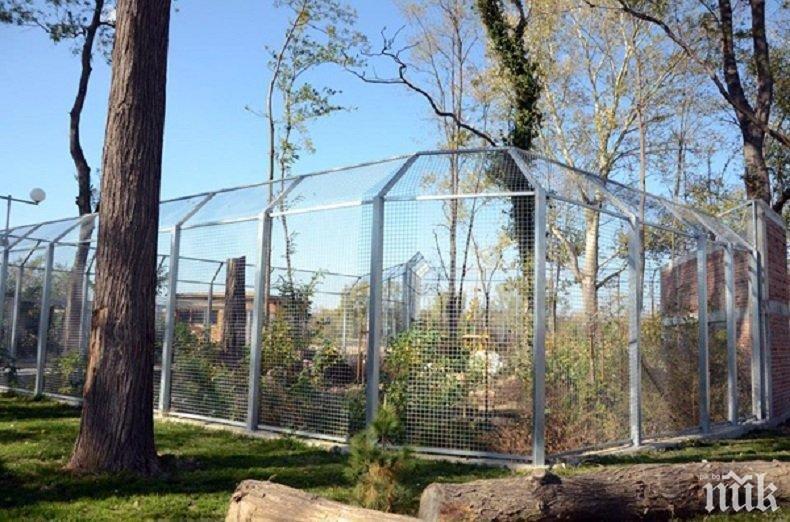 Зоопаркът на Пловдив влиза в съдебна битка за 800 000 лева