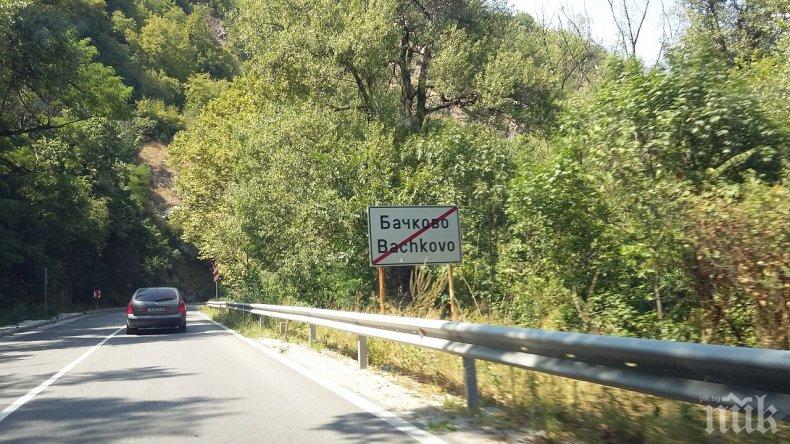 Община Асеновград: Разпространява се неточна и невярна информация за отсичането на дървета край Бачково