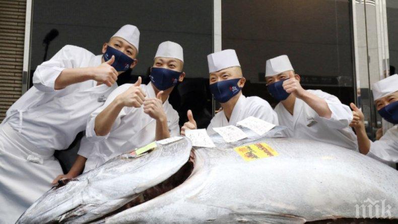 Продадоха риба тон за 202 000 долара в Япония