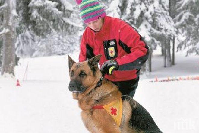 Спасиха мъжа, паднал в пропаст в планината Беласица