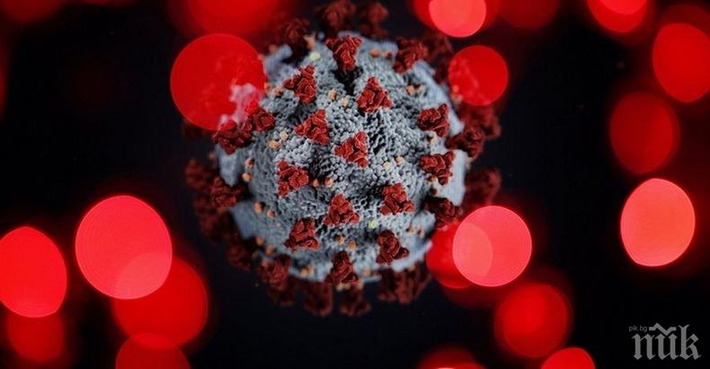СЗО: Заразените с коронавируса по света вече са близо 84 млн. души

 