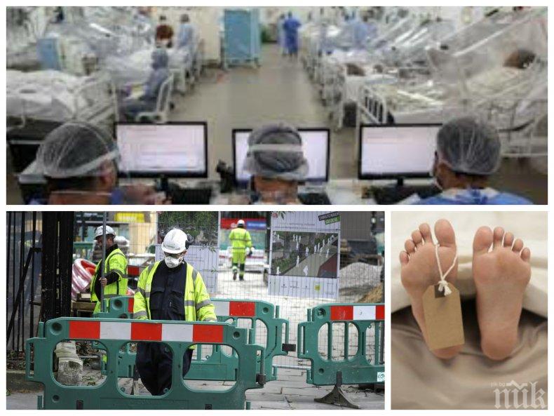 ОТ ГЕРМАНИЯ: Български лекар обясни защо пневмонията от COVID-19 убива 10 пъти по-често