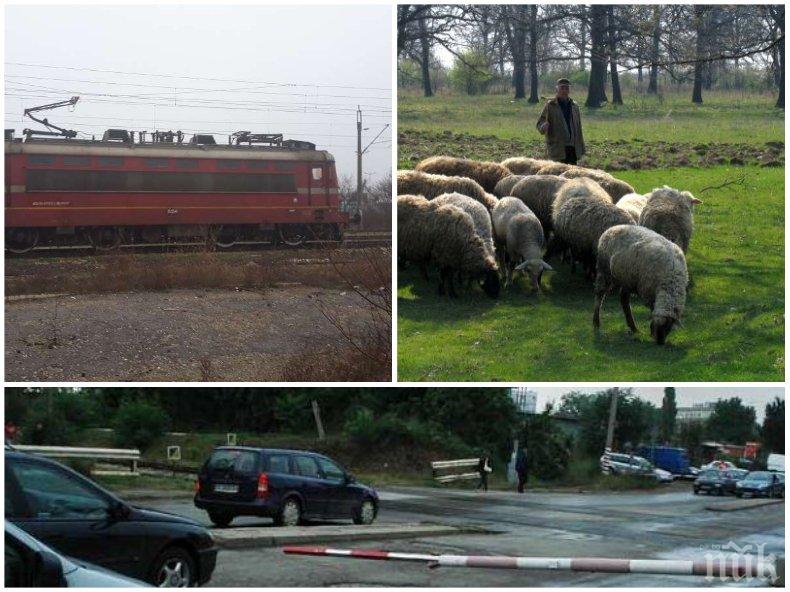 СИГНАЛ ДО ПИК: Влакове газят овце, а хулигани си играят с огъня - барикадират с камъни и бетонни колове жп линия в Пловдив