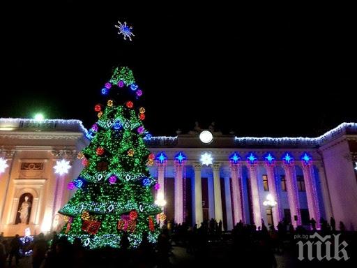 За шише водка: Мъж се покатери на новогодишна елха, но ето какво се случи (ВИДЕО)