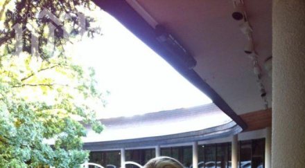 слух гонят венета райкова нова телевизия