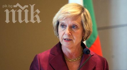 посланикът сащ марси рийс дали предсрочни избори ваш проблем