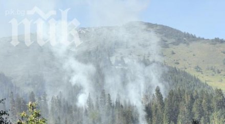 пожар бушува големия природен резерват нас балканите