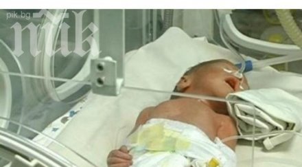 четиризнаците накараха българия усмихне снимки