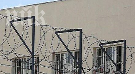 сирийски бежанци обявиха гладна стачка дома любимец