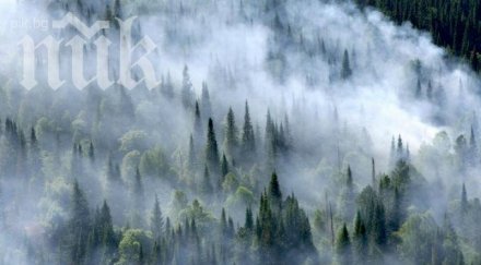 руски тарзан години горите сибир