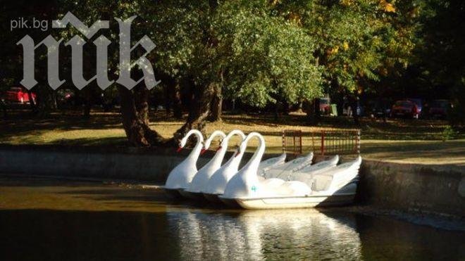 Парк в Благоевград спестява ток