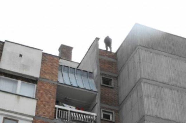 Днес е Световен ден за превенция на самоубийствата