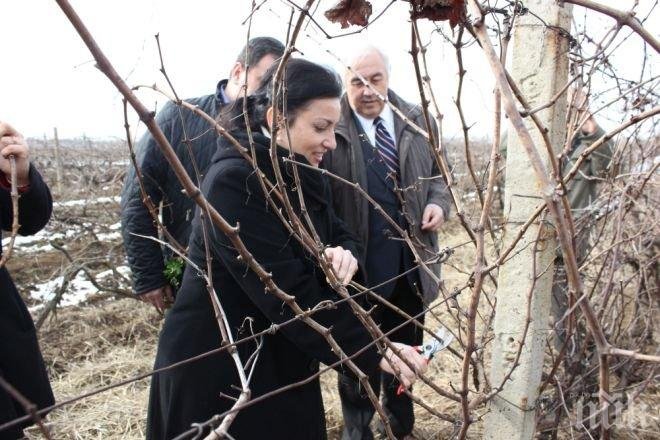 Десислава Танева ще зареже лозите в Огняново