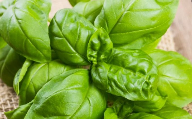 Ето кои са най-добрите етерични масла