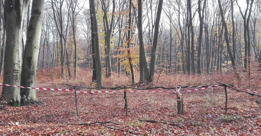 ЗАБРАНА: Без мотори и коли по горски пътища