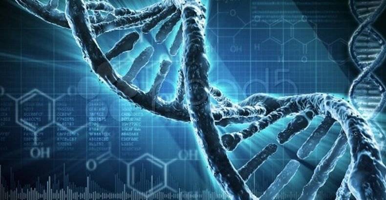 Учени извлякоха най-старата ДНК от ...