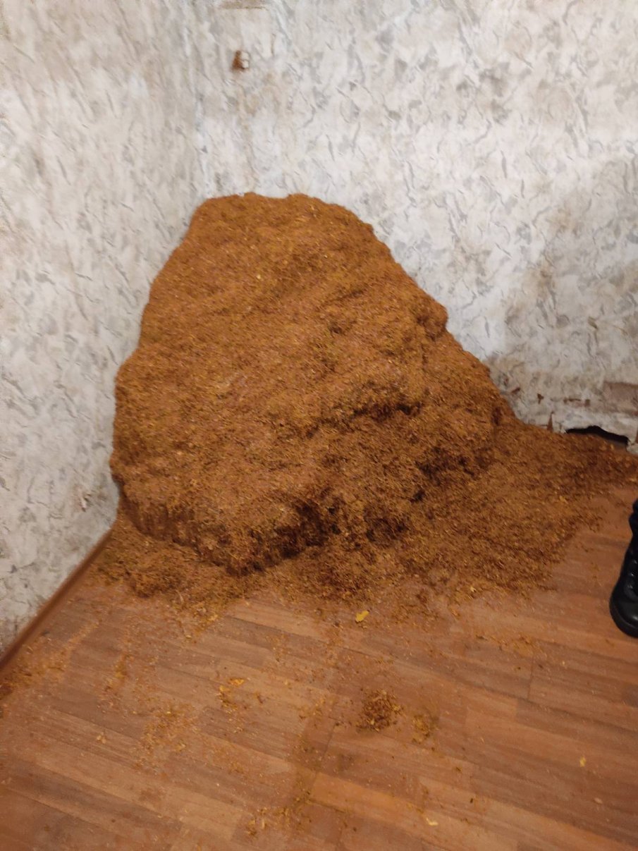 Разбиха работилница за преработка на контрабанден тютюн до Пловдив