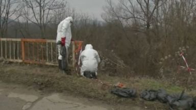 Изхвърлиха 200 живи пилета в реката край Ловеч