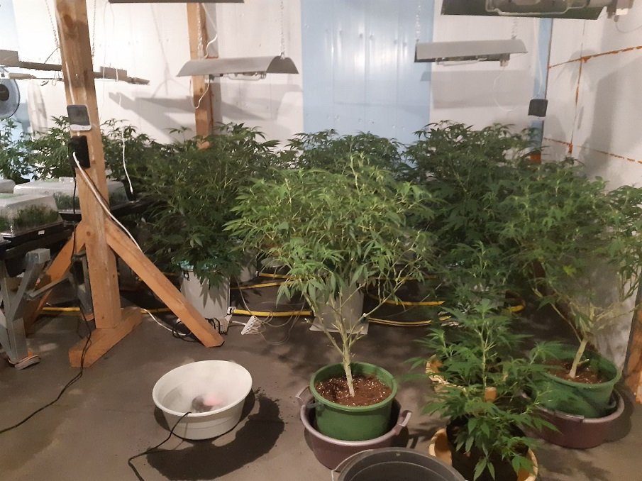 Задържаха съпрузи, направили нарколаборатория във вилата си край Разград