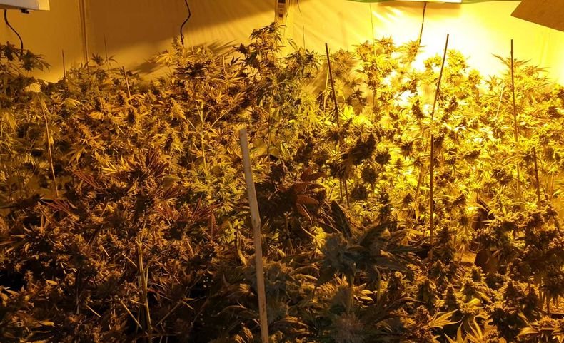 Окръжна прокуратура – Монтана разследва открита нарколаборатория в село Киселево. Има задържан (СНИМКИ)