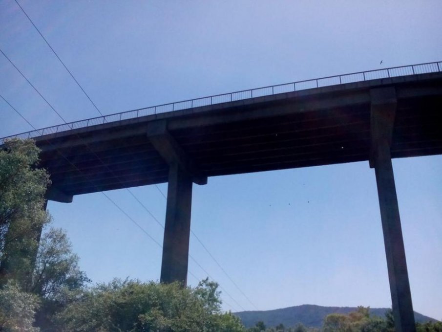 Доживотен затвор за бащата, изхвърлил сина си от моста над Янтра