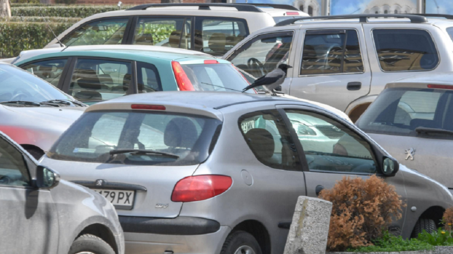 Обособиха нови места за паркиране на най-голямата търговска улица в Перник