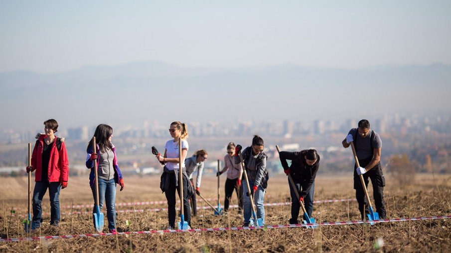 Засаждат 51 декара нова гора в София
