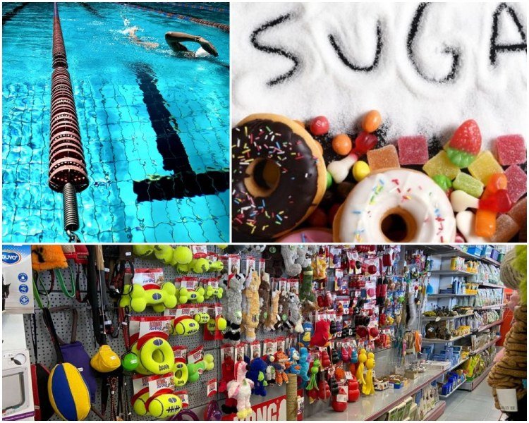 НАП удари плувен център и зоомагазин в Пловдив