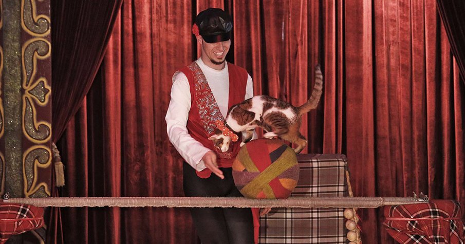 Циркови артисти сезират Комисията за защита от дискриминация