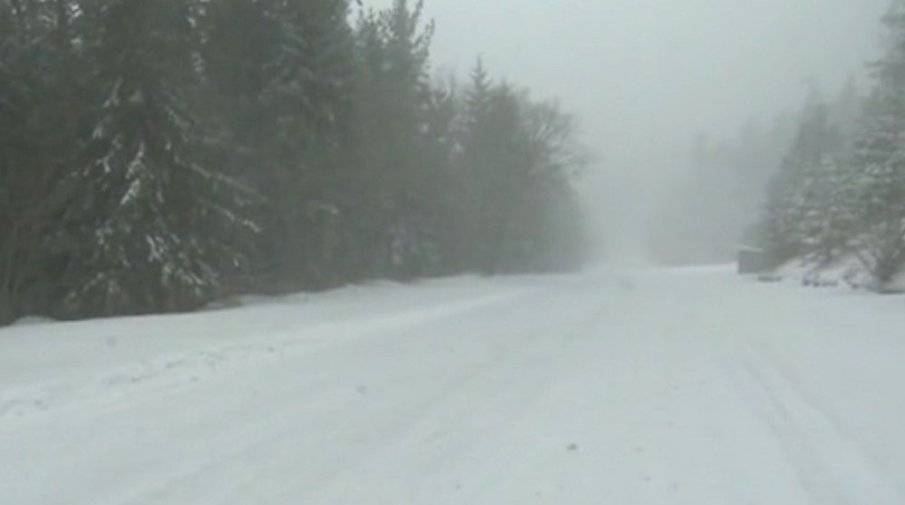 Пътят за хижа Алеко на Витоша отворен, но покрит с лед и сняг