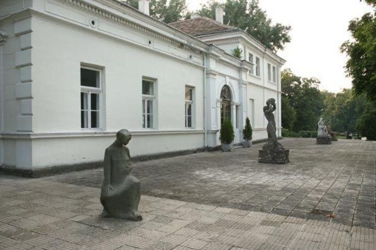 Видинската галерия светна в зелено за Деня на Свети Патрик