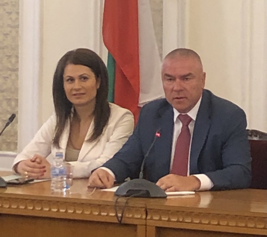 Женска сила: Успели дами подкрепят с топ проекти патриотичната коалиция Воля-НФСБ