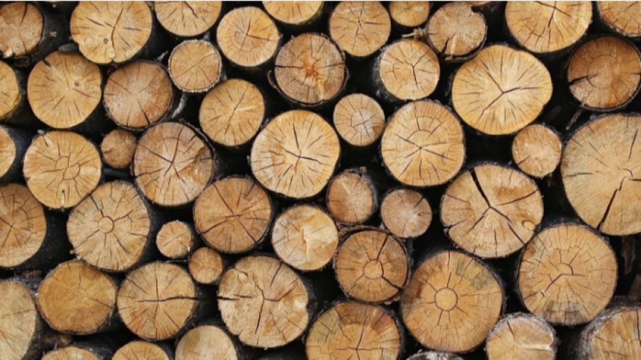 ВНИМАВАЙТЕ: Нова измама с дърва за огрев