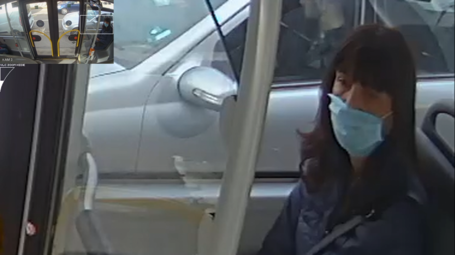 Полицията търси заснета крадла (СНИМКИ)