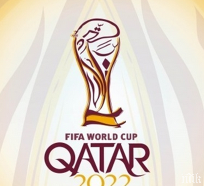 В Италия с тежка констатация за лъвовете