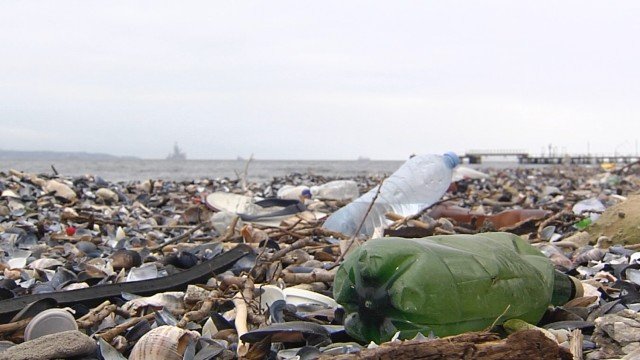 Грийнпийс алармира за пластмаса убиец в Черно море