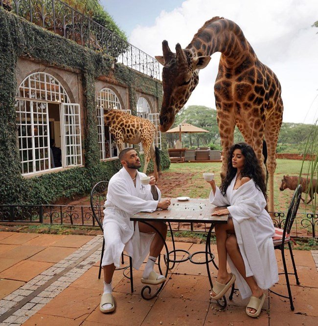 Фризьорът на Николета закусва с... жирафи