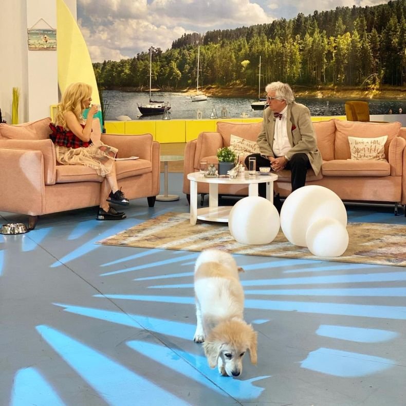 Новият панелист на Гала с първи гаф