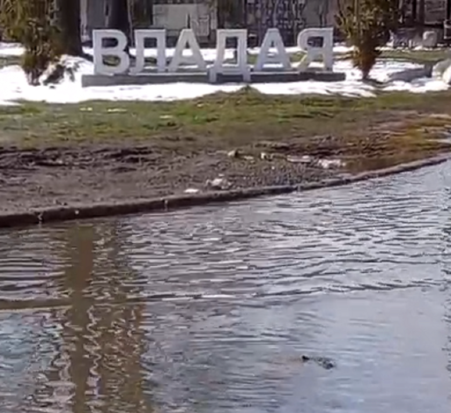 Акция по разчистване на пътеката от Княжево до Владая