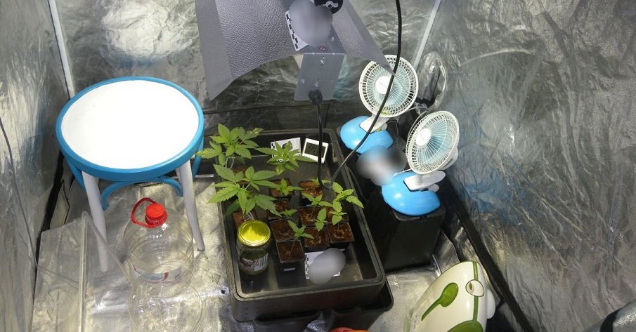 Семейство нидерландци гледа дрога в селска къща