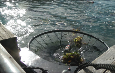 Рибари ще ловят отпадъци, водолази ще чистят морското дъно